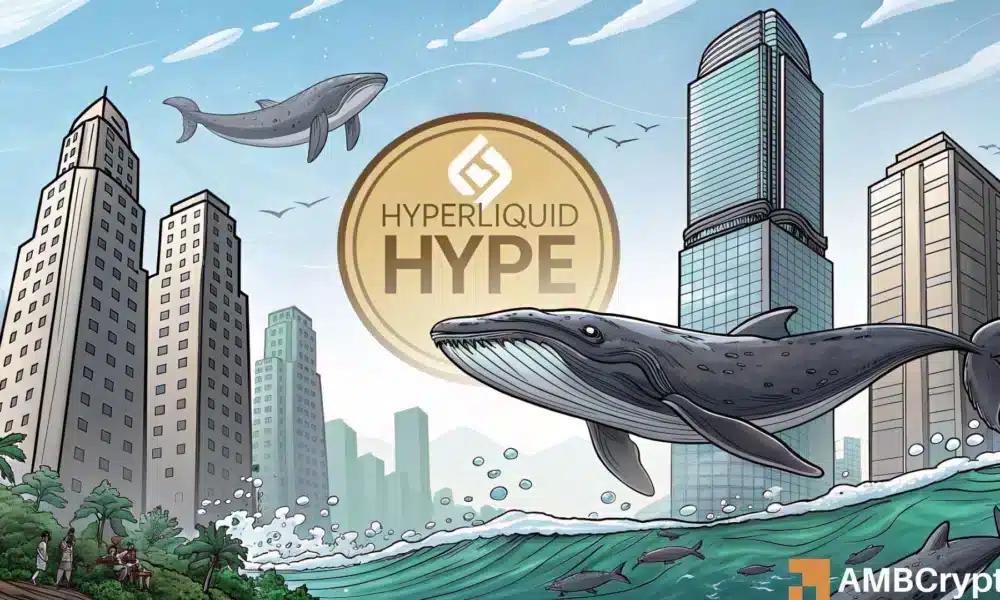 Hyperliquid需求在两大群体中迅速增长——HYPE的下一步是什么?